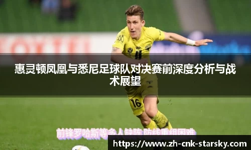 惠灵顿凤凰与悉尼足球队对决赛前深度分析与战术展望